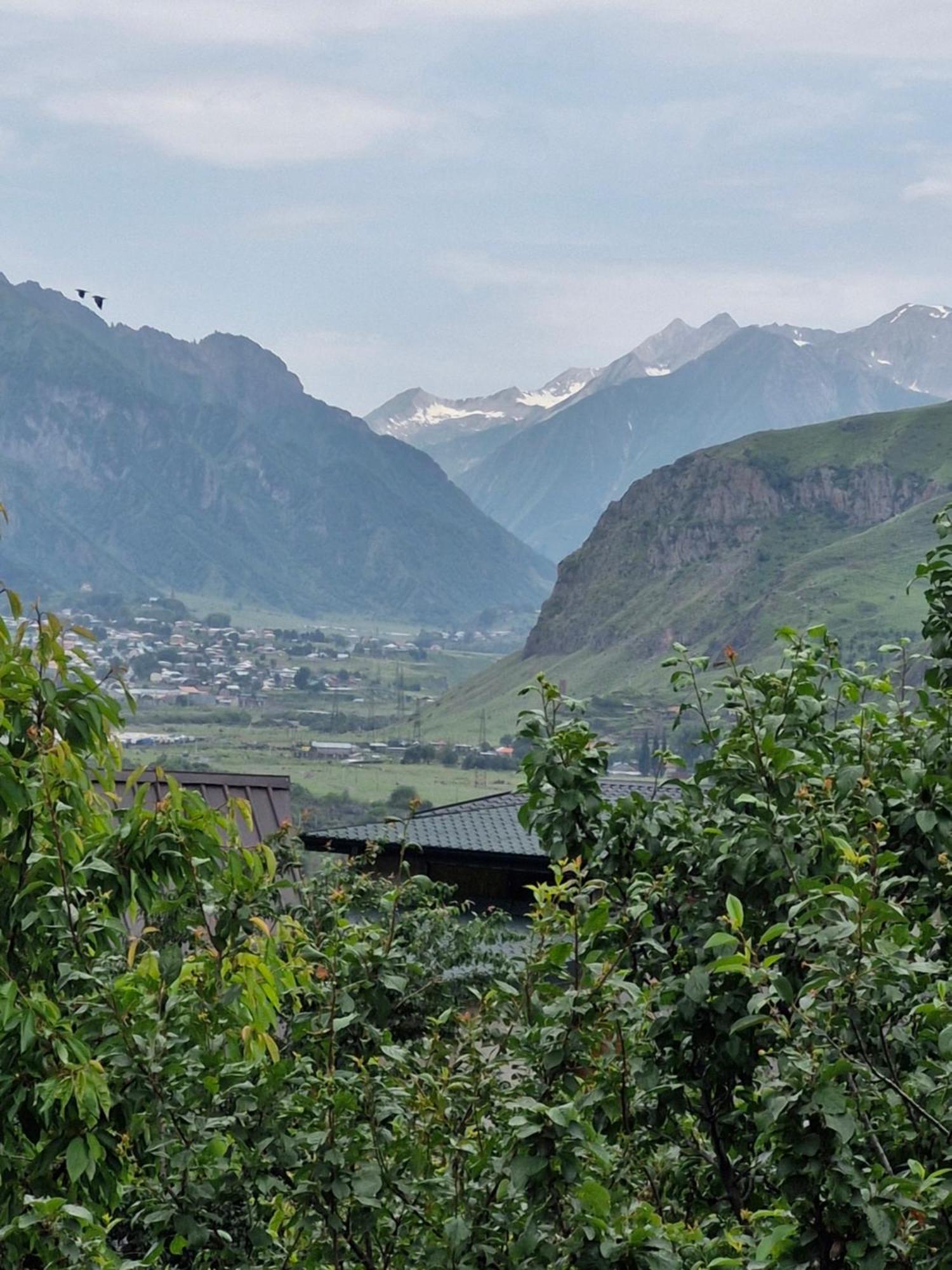 Maiko Guest House Kazbegi Dış mekan fotoğraf