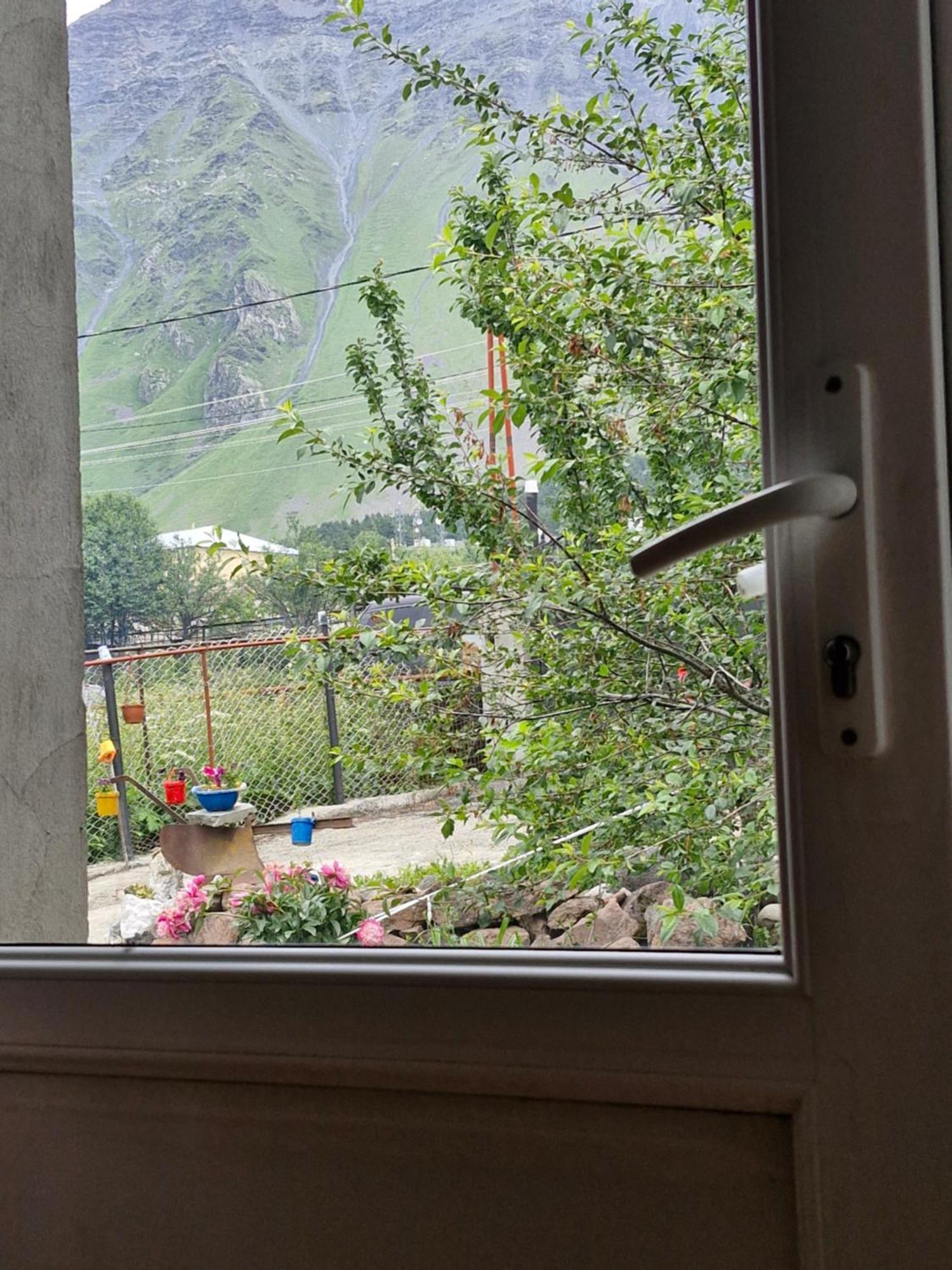 Maiko Guest House Kazbegi Dış mekan fotoğraf